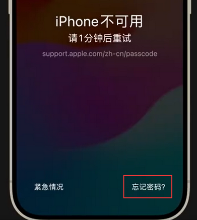 兖州苹果手机密码维修分享iPhone忘记了刚设置的密码 
